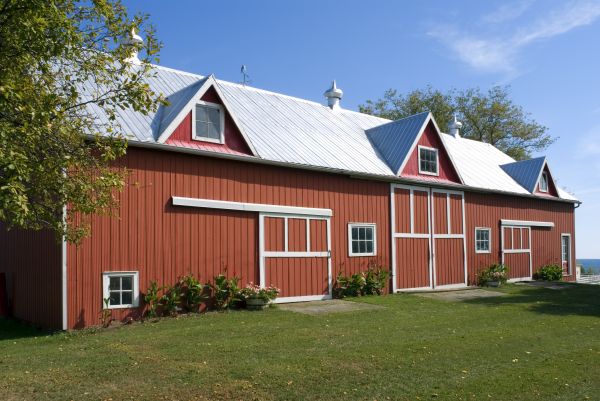 Professional Barn Roof Replacement